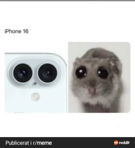 RDT_20240910_1241353339289539851531466.png