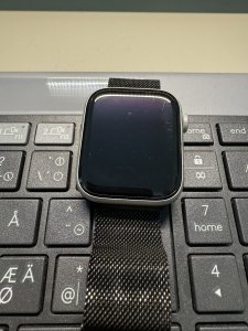 IMG_3685.jpeg