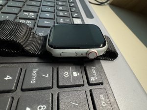 IMG_3686.jpeg