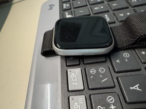 IMG_3687.jpeg