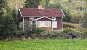 ikväll (23).jpg