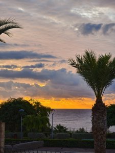 IMG_20240917_081033.jpg