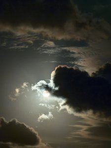 IMG_20240917_210410.jpg