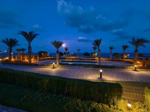 IMG_20240917_203725.jpg