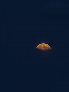 IMG_20240917_202133.jpg