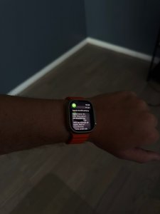 IMG_9387.jpeg