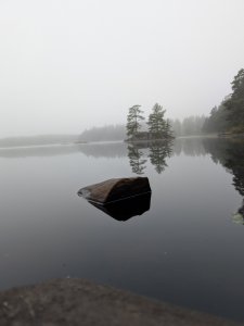 PXL_20240922_070016652.jpg