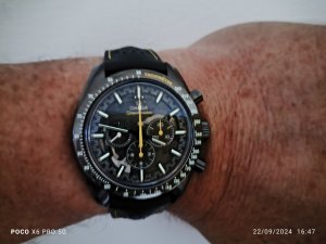 IMG_20240922_164749.jpg