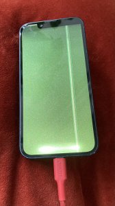 IMG_0578.jpeg