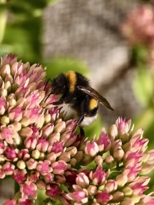 IMG_20240913_172434.jpg