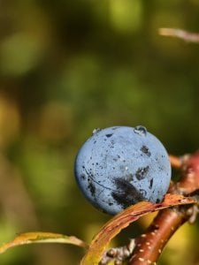 IMG_20240928_113007.jpg