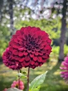 IMG_20240817_210945.jpg