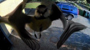 _T8424N1021250462_2024_10_03_08_55_33_exported_7469.jpg