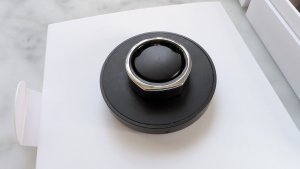 PXL_20241005_094008600.MP.jpg
