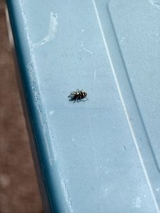 IMG_20240904_123630.jpg