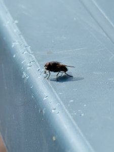 IMG_20240904_124224.jpg