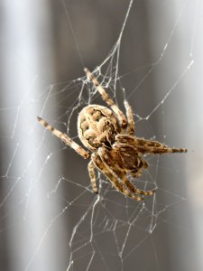 IMG_20240920_075532.jpg