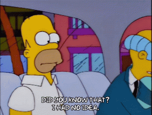 giphy (2).gif