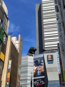 IMG_20241011_113245503.jpg
