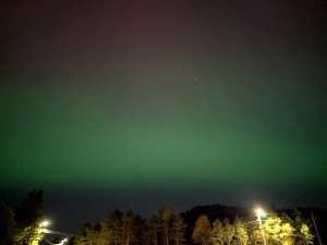 PXL_20241010_183706576.NIGHT.jpg
