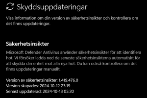 Skärmbild 2024-10-13 113257.png