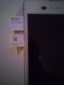 IMG_20241014_205236.jpg