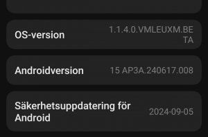 Screenshot_2024-10-15-19-55-28-394_com.android.settings-edit.jpg