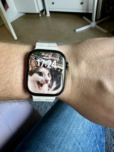 IMG_2312.jpeg