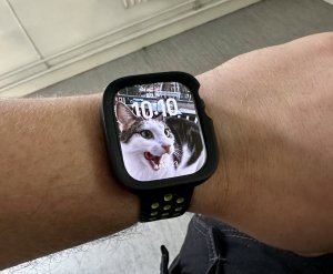 IMG_2294.jpeg