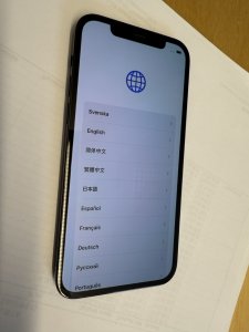 IMG_2168 - stor.jpeg