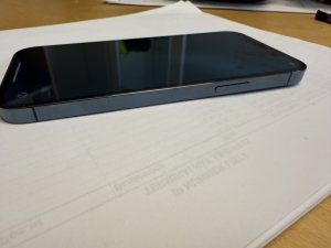 IMG_2173 - stor.jpeg