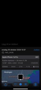 IMG_0437.png