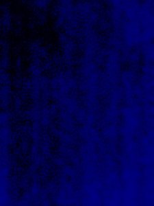 IMG_1006.jpeg