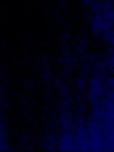 IMG_1007.jpeg