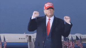 FbiL9rsmZN3ib2JSGo.gif