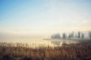 IMG_0182.jpeg