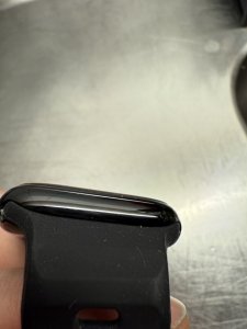 IMG_2464.jpeg