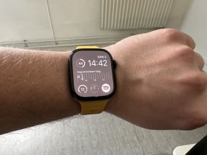 IMG_2328.jpeg