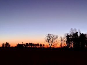 IMG_E4520.JPG