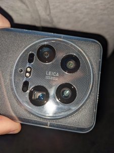 PXL_20241115_235052558.jpg