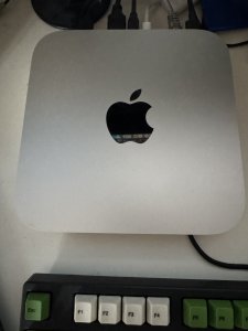 IMG_1876.jpeg