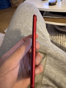 IMG_2123.jpeg