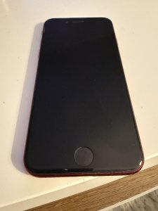 IMG_2127.jpeg
