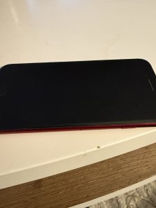 IMG_2128.jpeg