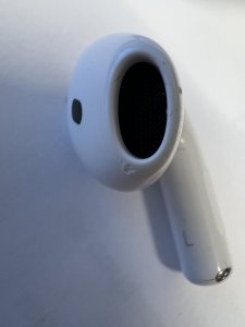 IMG_2101.jpeg