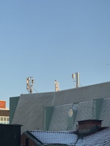 IMG_5332.jpeg