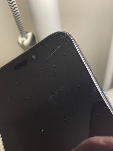 IMG_0239.jpeg