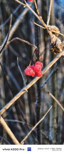 IMG_20241204_122818.jpg