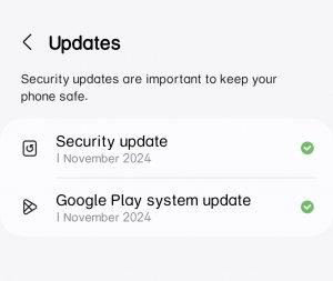Screenshot_20241210_141911_Settings.jpg