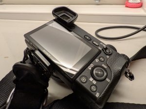 PXL_20241108_223026094.jpg